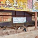 우농타조농장 이미지