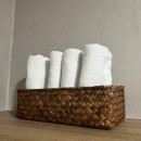 스테이오즈