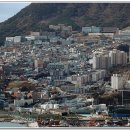 동삼2동-1 이미지