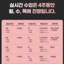 라인피티 이미지