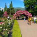 불모산 저수지 내 이미지