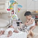 생활의료기 (에너지협회) | 싸이벡스 레모 4in1 하이체어 추천 2개월 신생아 뉴본 바운서와 두돌 유아 아기의자 활용 후기