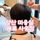 양산미용실 매료 후기 필러스컷 다운펌 남자머리 잘하는 곳