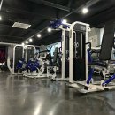 나무 휘트니스 이미지