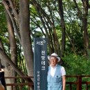 밤편지