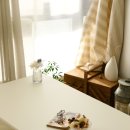 제이유인터내셔널 이미지