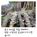 가실골농장 이미지