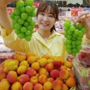 플럼마트 이미지