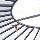 충남야생동물구조센터 이미지