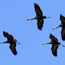 오리여행 이미지