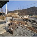 느린 오후가 있는 집 이미지