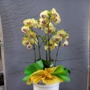 서문작은도서관 이미지