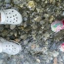 백운계곡삼부원 이미지