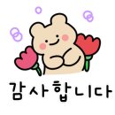 동산 안경원 이미지