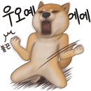 캠핑가는 날 이미지
