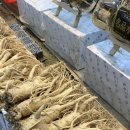 풍기선비골인삼시장 이미지