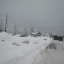 월호평길 이미지