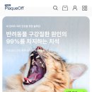 ㈜신기사 이미지