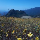 장호관광지 이미지