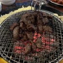 착한갈매기