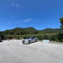 그물과물고기 이미지