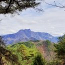 악어섬 | 충주 악어섬 여행｜산 위에서 만난 악어 같은 신기한 풍경