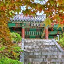 팜이공 | 공주 공산성 한바퀴 코스 난이도와 생생한 완주 기록