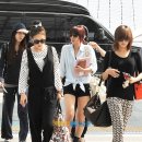 카라 Daum카페