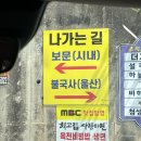 최고집사랑하면 | 경주 불국사 근처 ’최고집사랑하면‘ 육전비빔밥과 육전비빔냉면 솔직후기