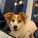 메종드 로이 이미지