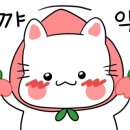 쉐이리펜션 이미지