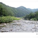 장한말길 이미지