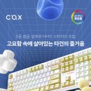 디자인콕스