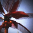 꿈의궁전모텔 이미지