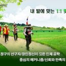 상봉알즈너