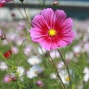 (주)듀만 이미지