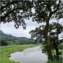 심청골민박 | 전통과 자연이 어우러진 곡성기차마을펜션 심청골한옥펜션 후기
