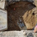 효창원로 이미지