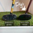 야무진파크골프 이미지
