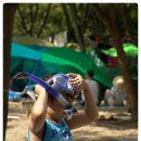 소백산 남천야영장1 이미지