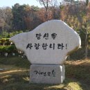 주식회사 자연애
