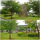 남곡1리 경로당 이미지