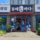 바다해물탕 | 천안 두정동 맛집 동해바다횟집, 모듬회 해물탕 후기