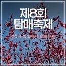순천삼산중학교 | 2026년 순천 홍매화축제 탐매축제 다녀온 후기｜체험·푸드존·주차 정보