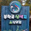 봉학골산림욕장 이미지
