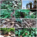 지혜농장 이미지