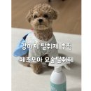요술강아지 | 강아지탈취제 페츠모아 요술탈취제 후기 무향, 무취 안전한 성분제품