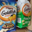 럭키피시 이미지