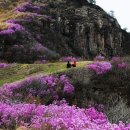 화왕산약국 이미지