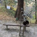 와룡헬스 이미지